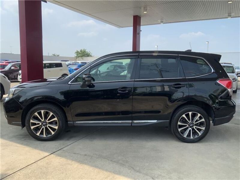 FORESTER
