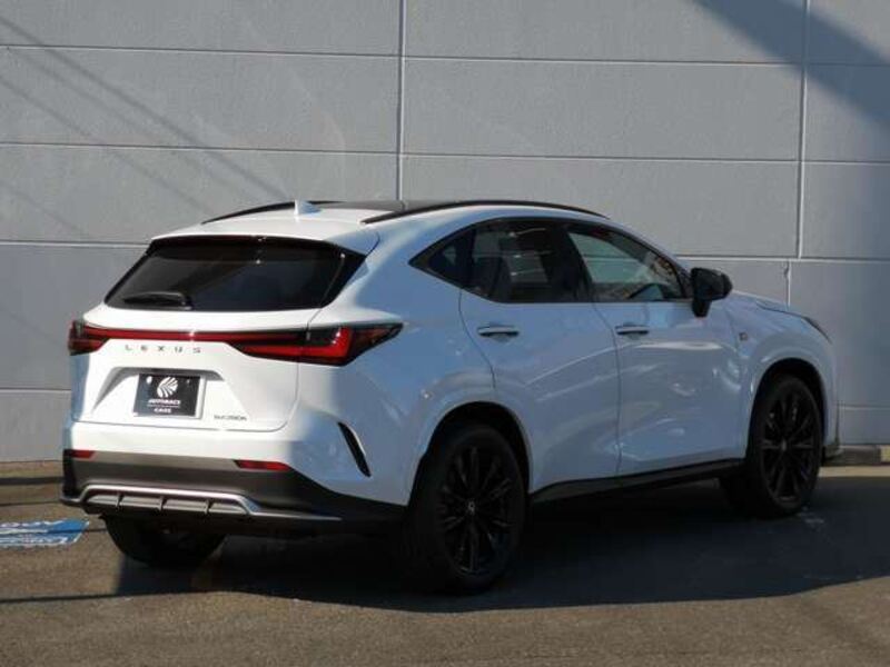NX