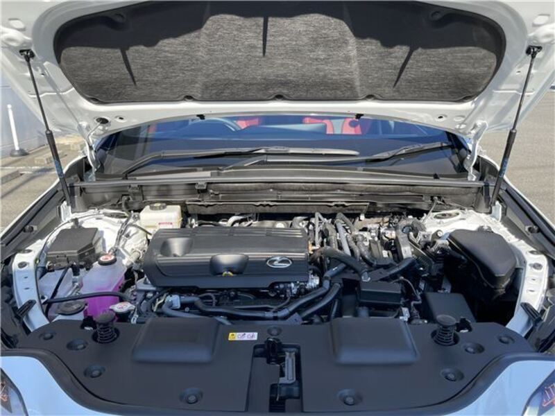 NX
