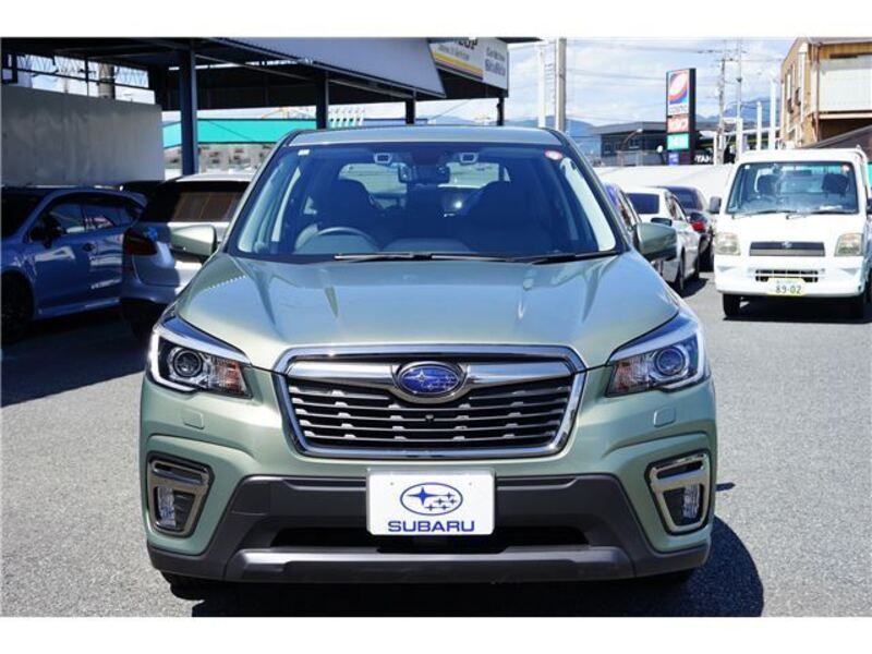 FORESTER