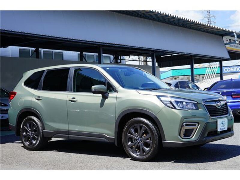 FORESTER
