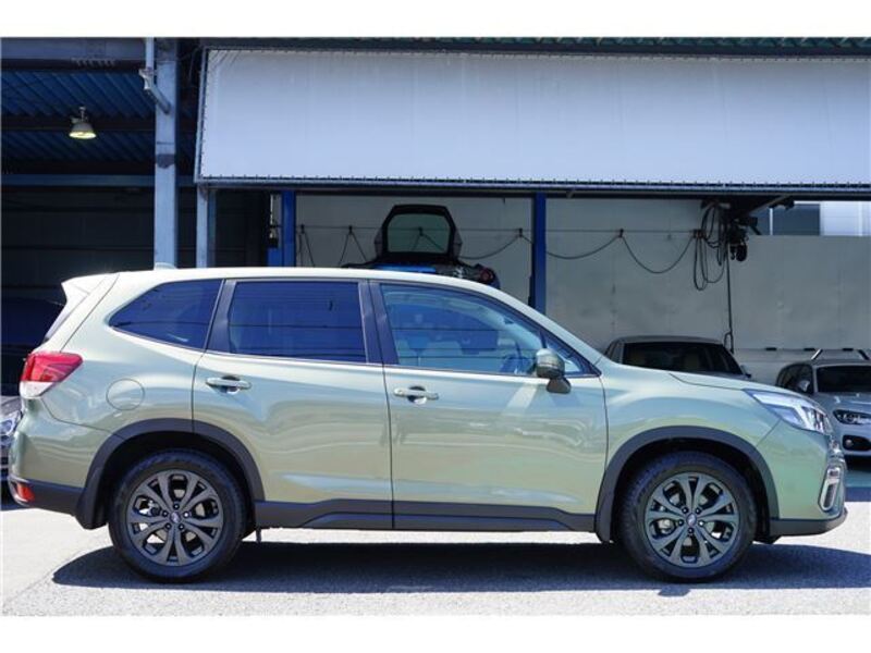 FORESTER