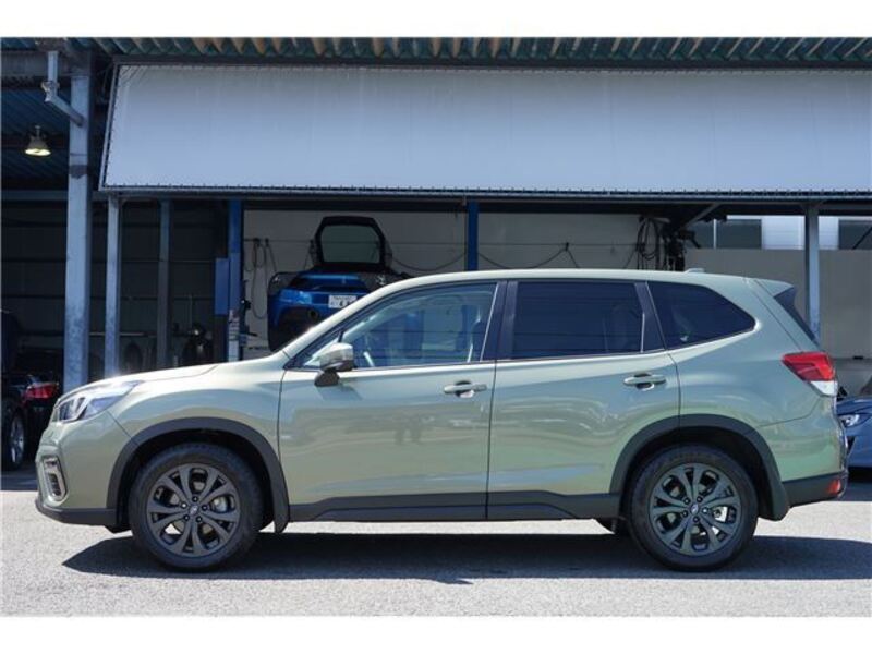 FORESTER