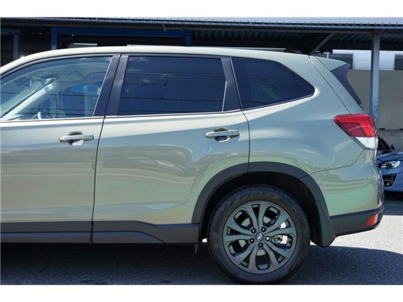 FORESTER