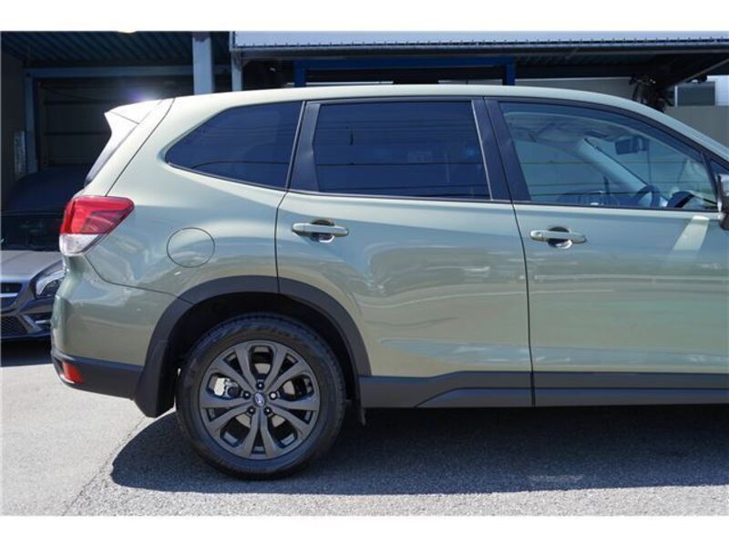 FORESTER