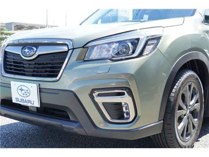 FORESTER