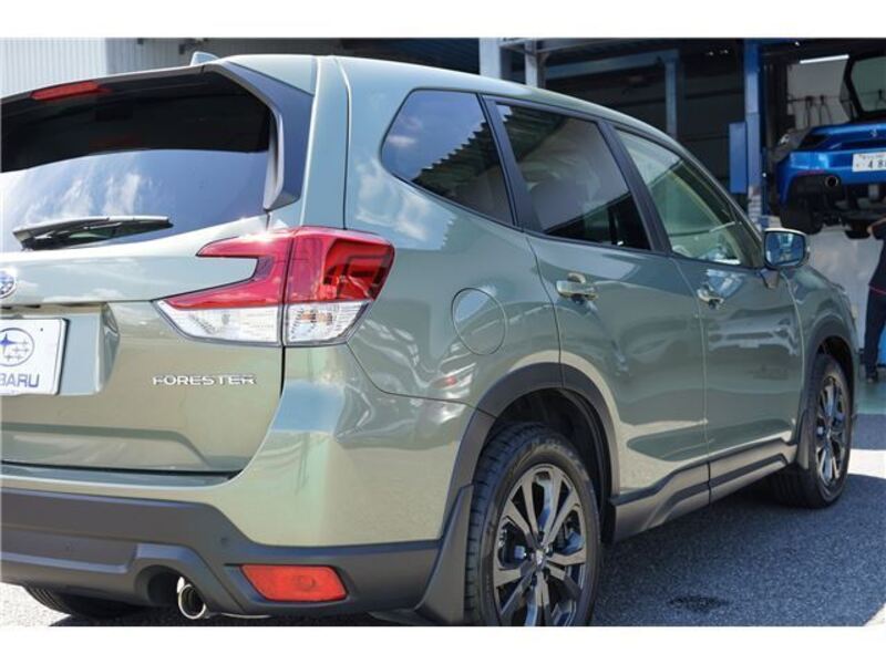 FORESTER