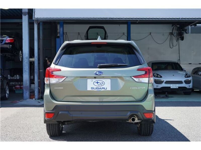 FORESTER