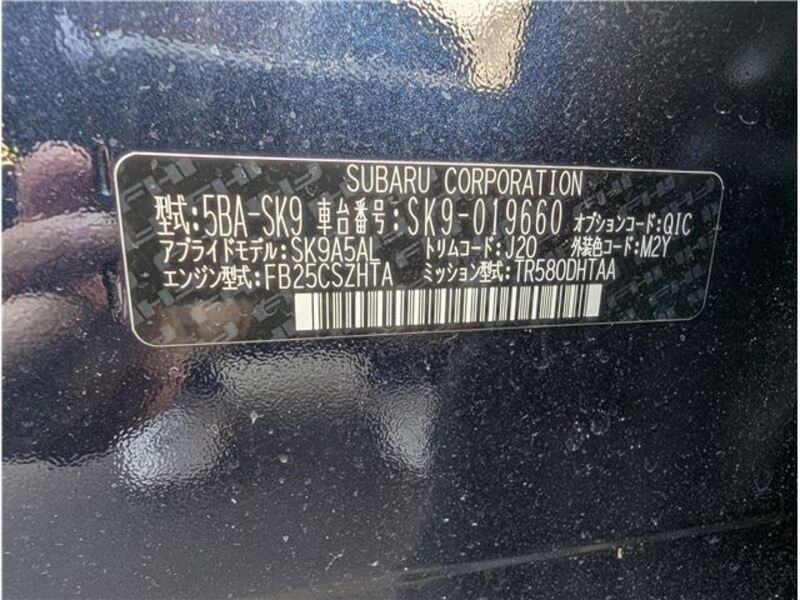 FORESTER