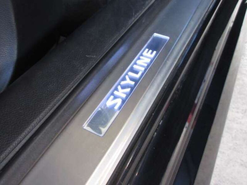 SKYLINE