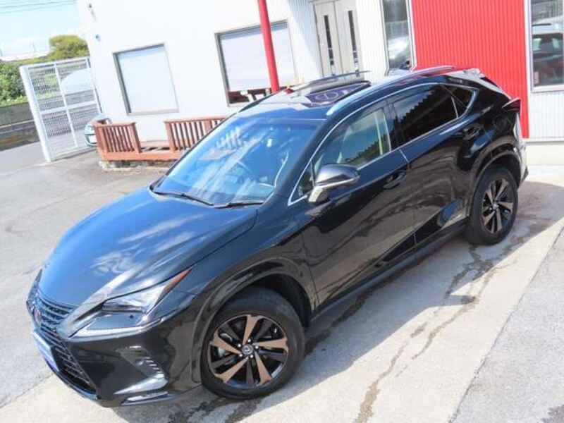 NX