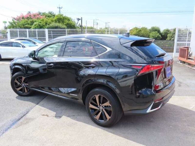 NX