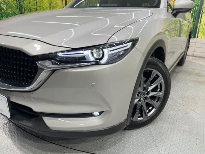 CX-8
