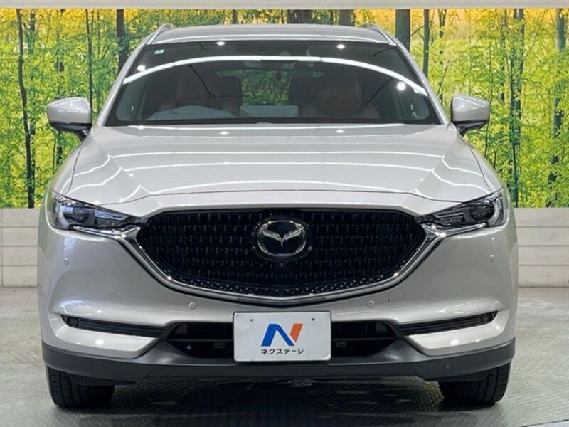 CX-8