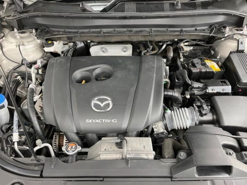 CX-8