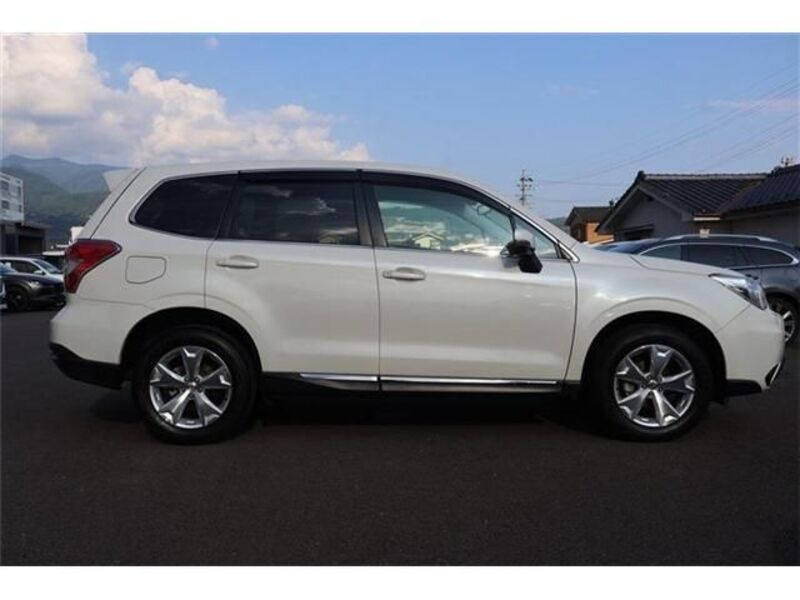 FORESTER