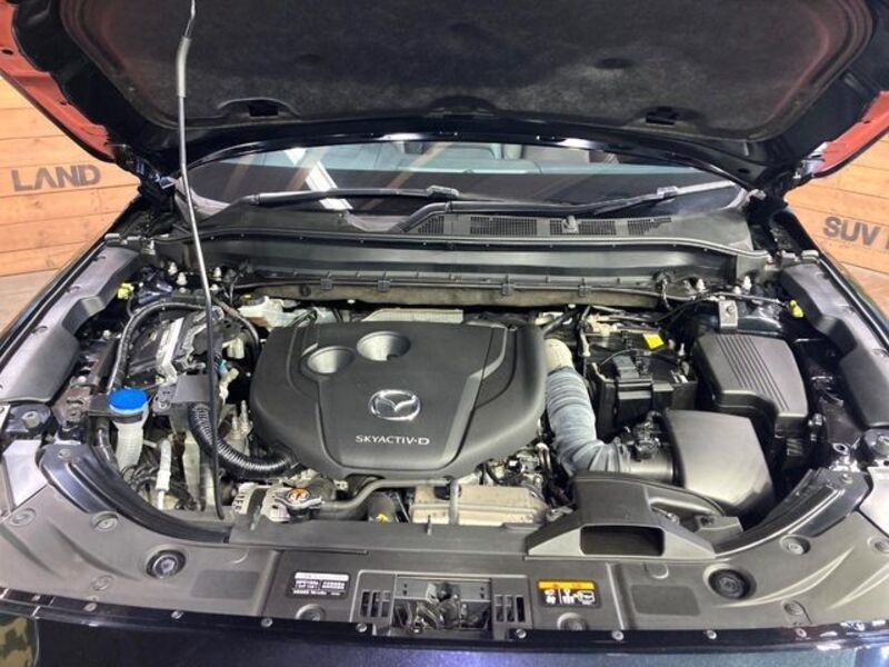 CX-8