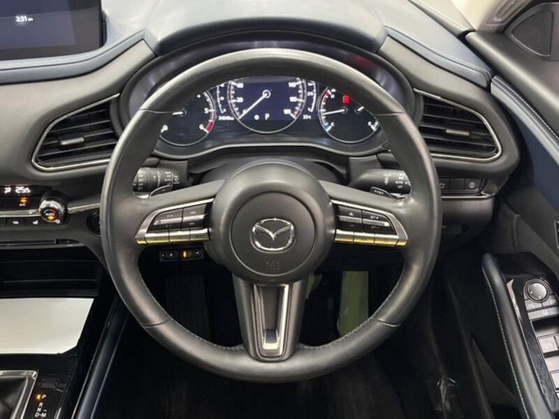 CX-30