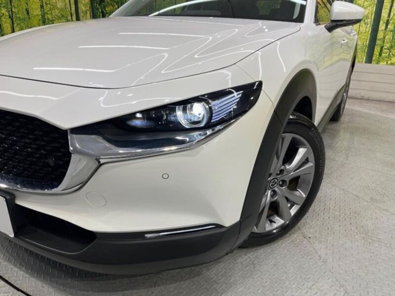 CX-30