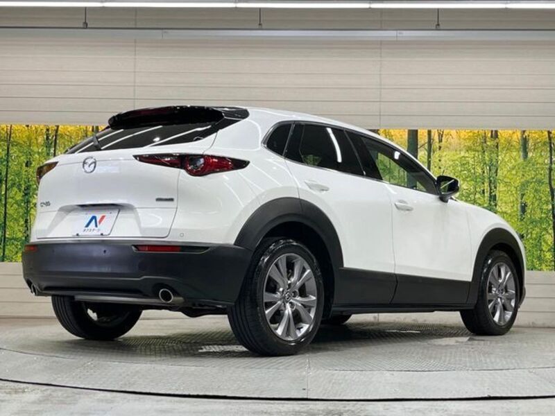 CX-30