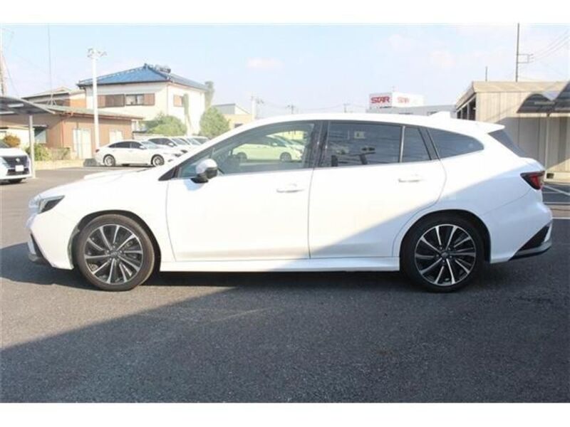 LEVORG