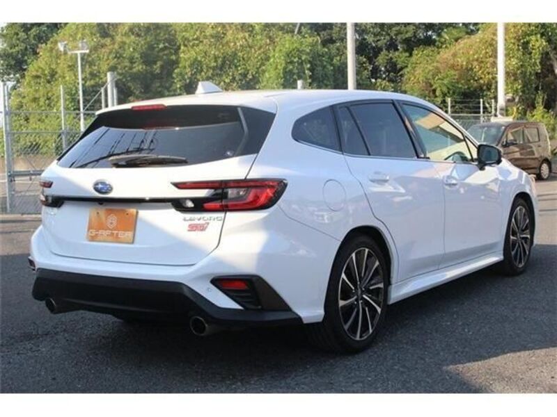 LEVORG