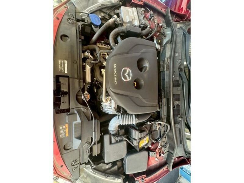 MAZDA2