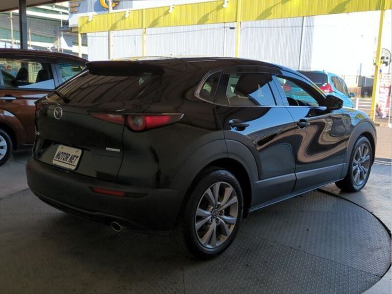 CX-30