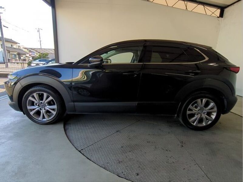 CX-30
