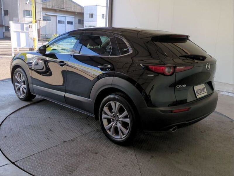 CX-30