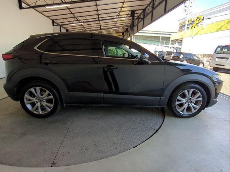 CX-30