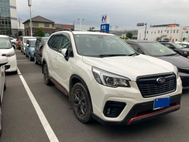 FORESTER