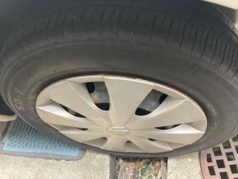BELTA