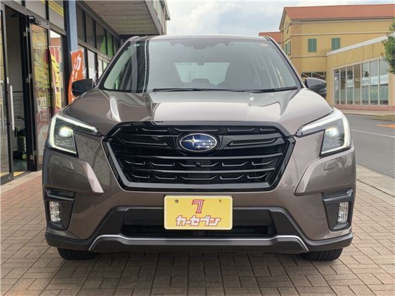 FORESTER