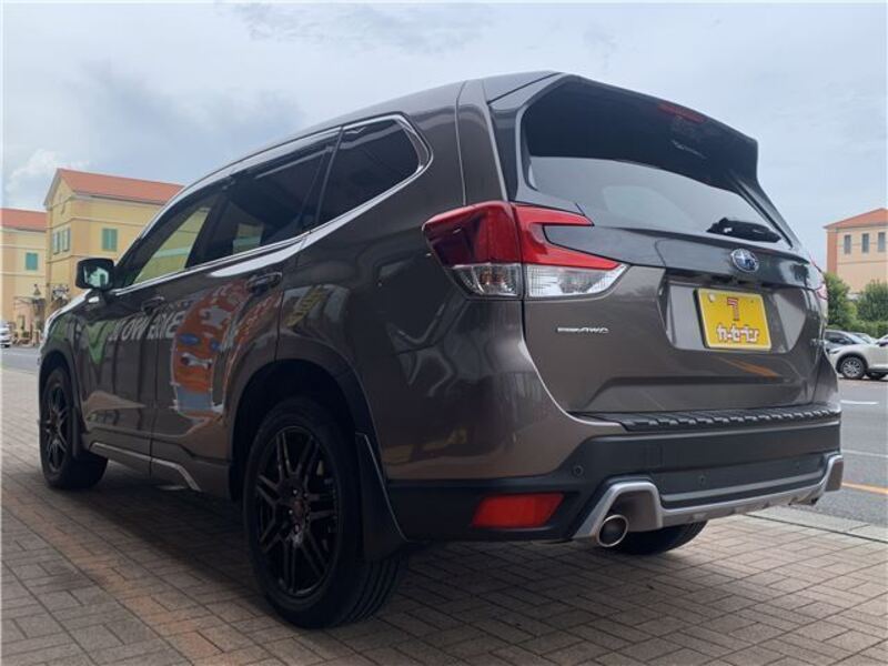 FORESTER