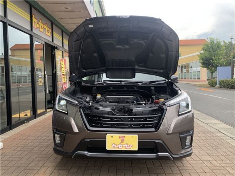 FORESTER
