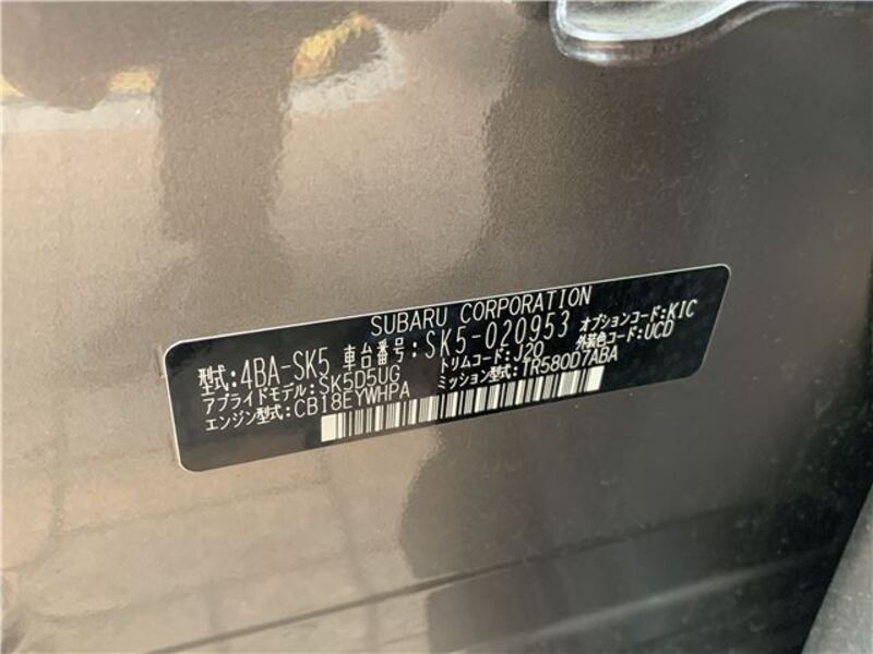 FORESTER