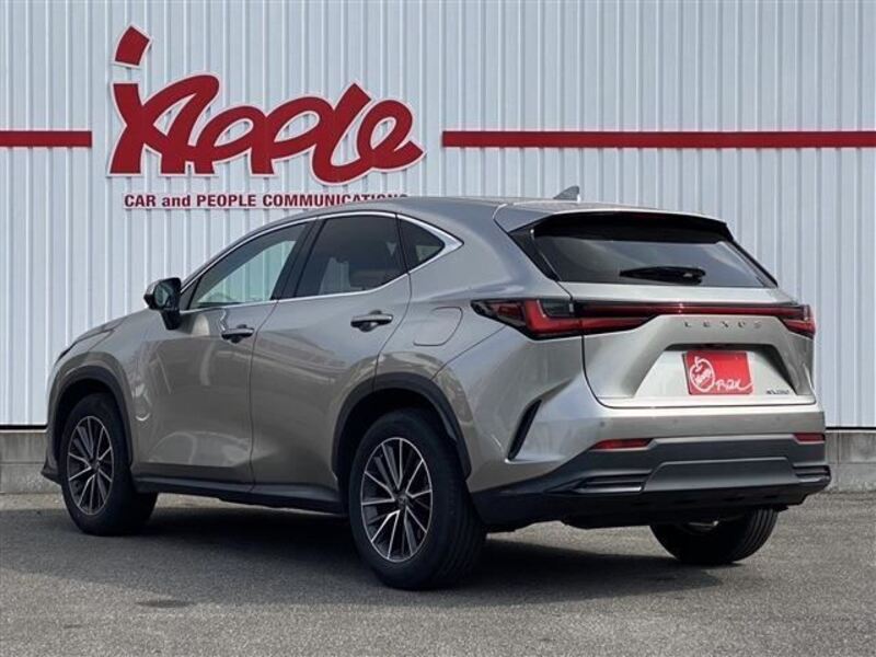 NX