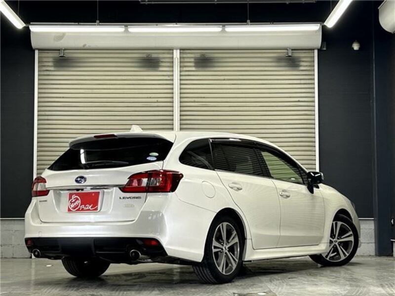LEVORG
