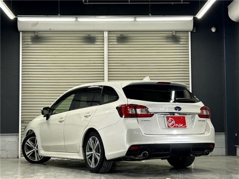 LEVORG