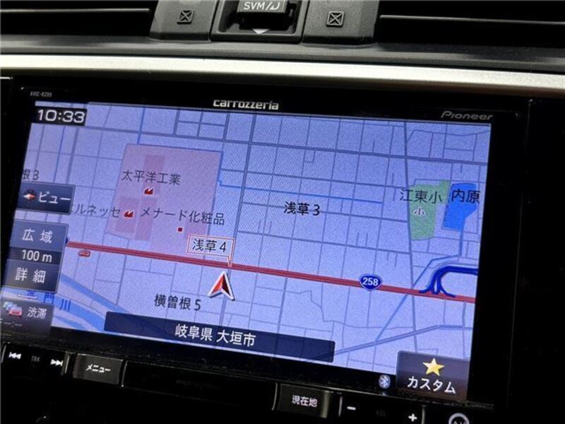 LEVORG