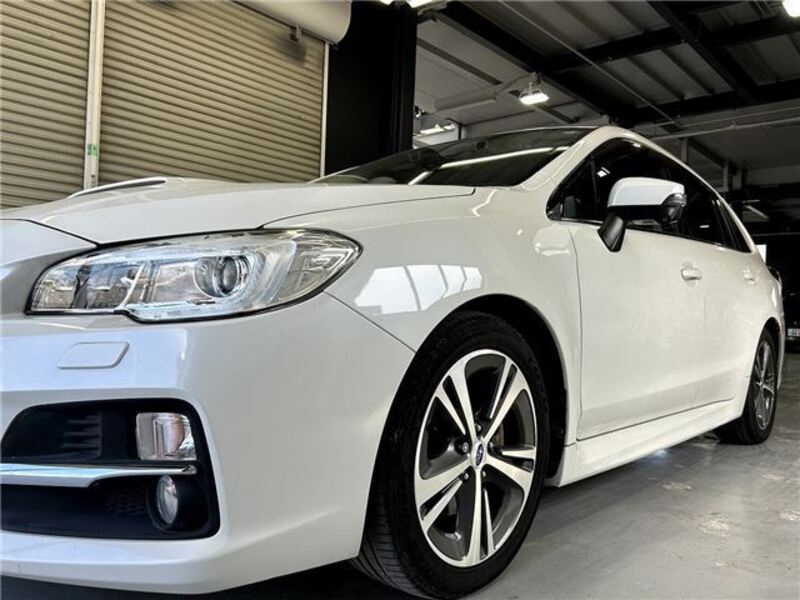 LEVORG