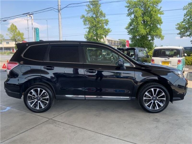 FORESTER