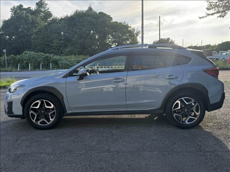 XV