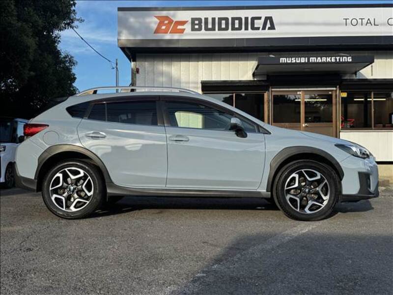 XV