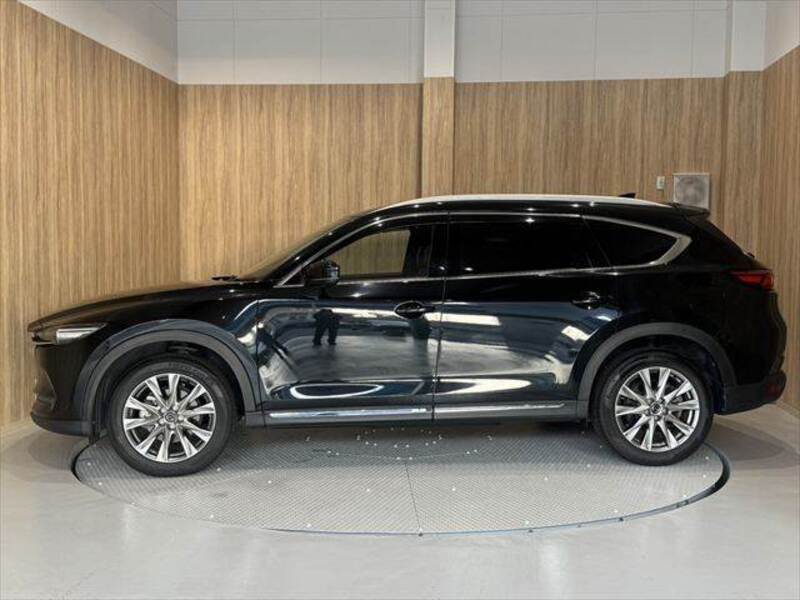 CX-8