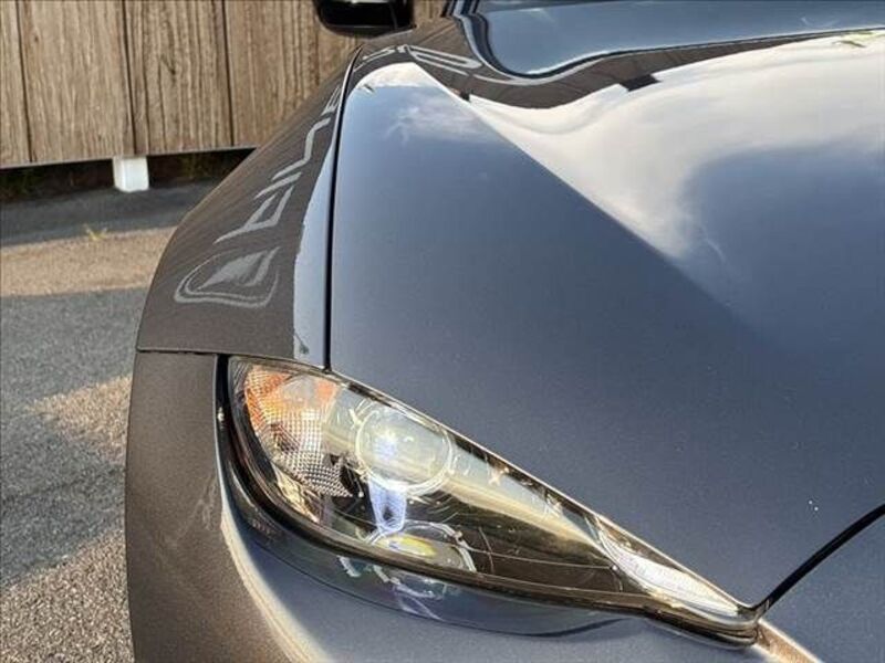 ROADSTER