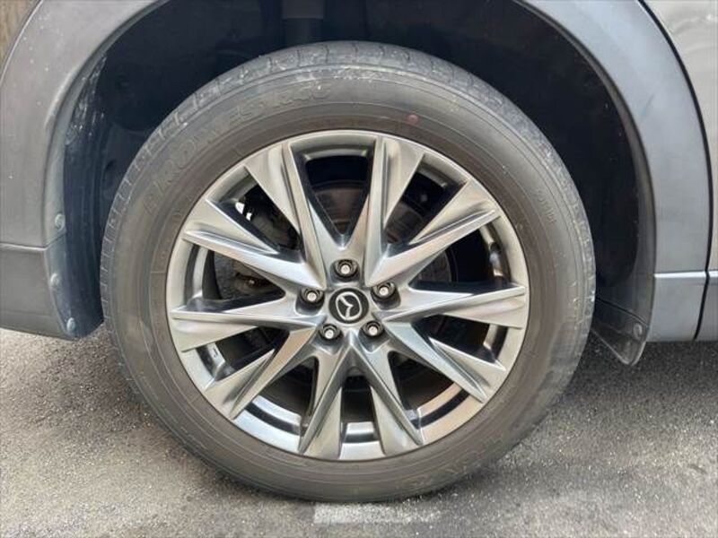 CX-8