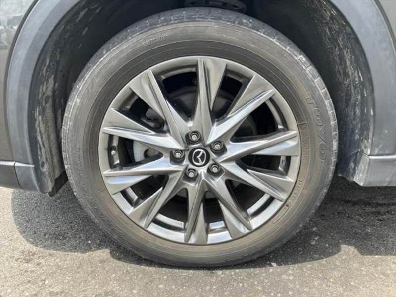CX-8