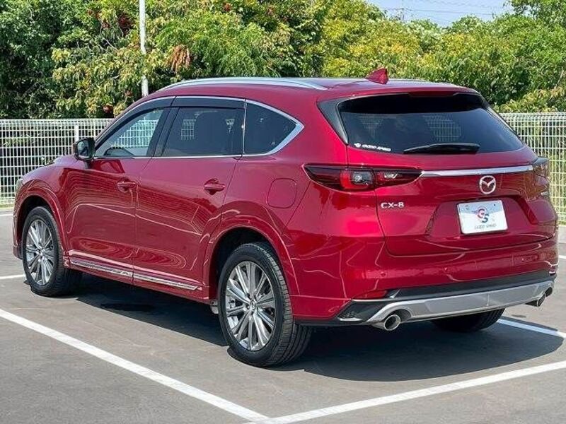 CX-8